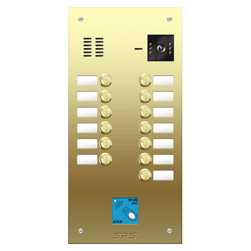 6813/08 13 button Brass video panel, prox., name win. size D